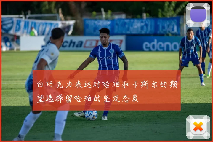 白巧克力表达对哈珀和卡斯尔的期望选择留哈珀的坚定态度