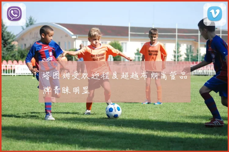塔图姆受欢迎程度超越布朗高管品牌青睐明显