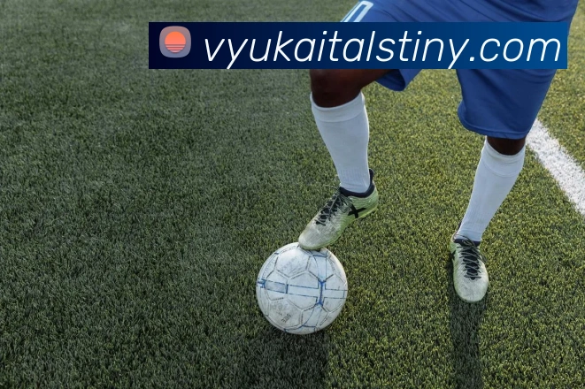 乐鱼手机官网入口leyu全站App